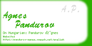 agnes pandurov business card
